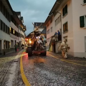 Umzug Grüningen